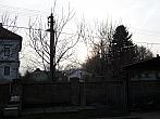 Třibřichy